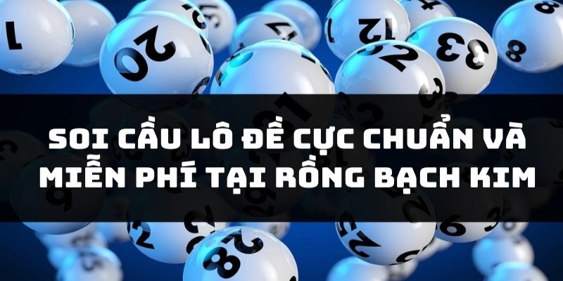 Soi-cau-lo-de-rong-bach-kim-chot-so-cuc-chuan